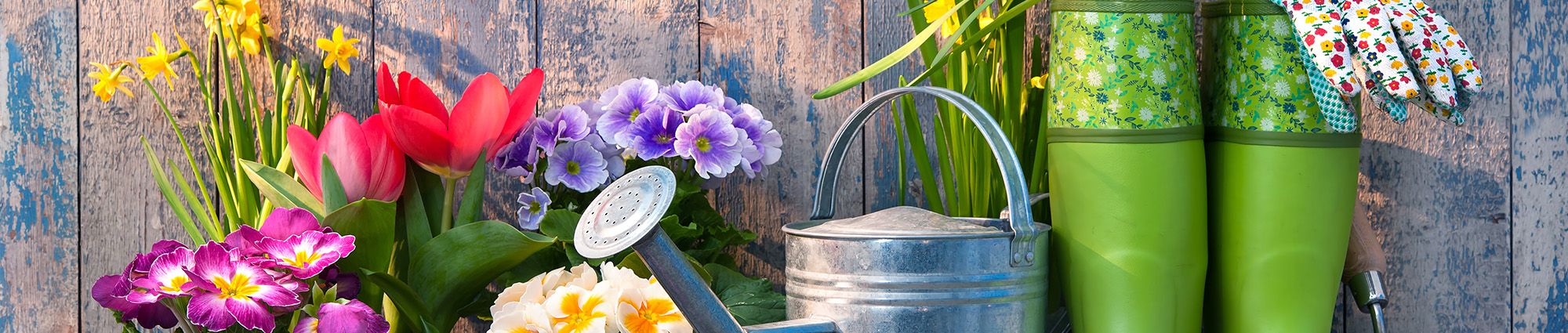 Garden Services Nottingham