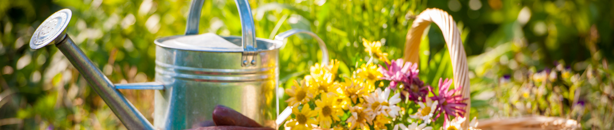 Contact David Buckberry Garden Services Today